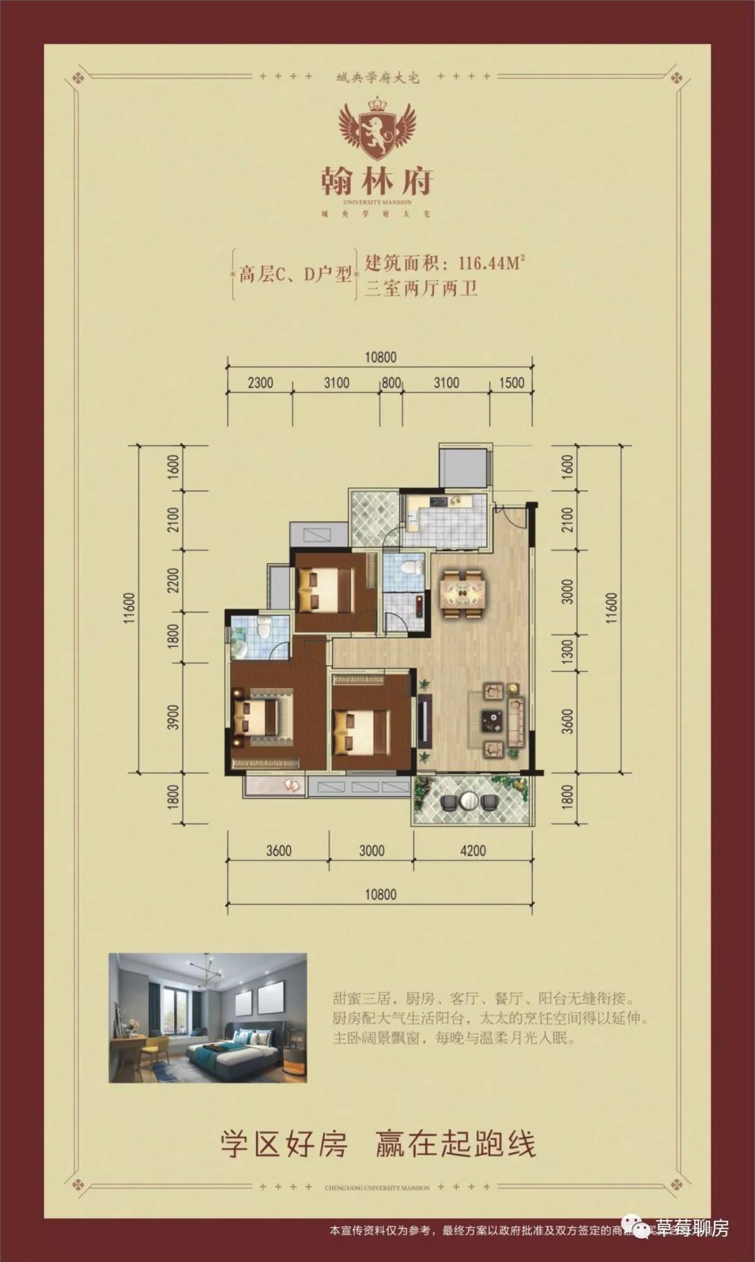 高层C、D户型